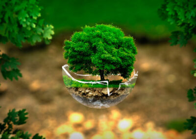 Direito Ambiental