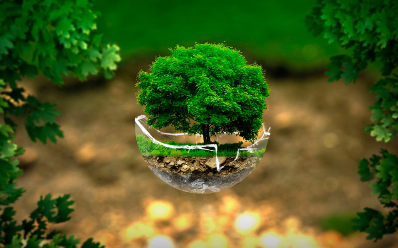 Direito Ambiental